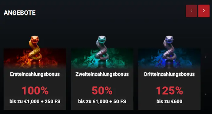 Cobra Anmeldung promo